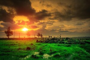 ブースト機能をいつ使うと効率を最大化できるのか？