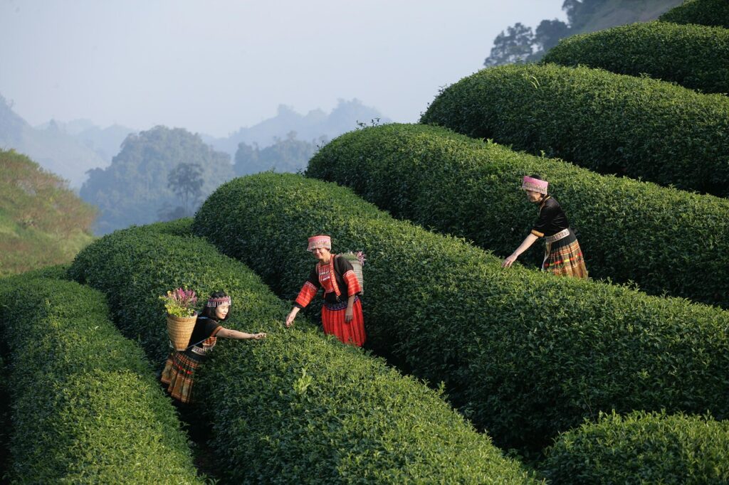 留学経験を持つ女子が出会えるアプリはどれ？
