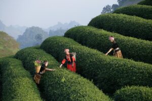 留学経験を持つ女子が出会えるアプリはどれ？
