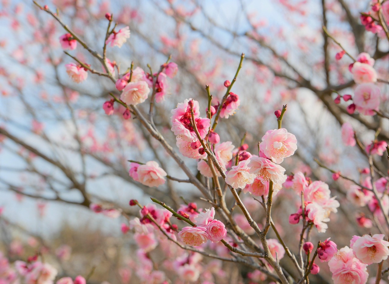 with相性価値観診断が当たる理由とは？