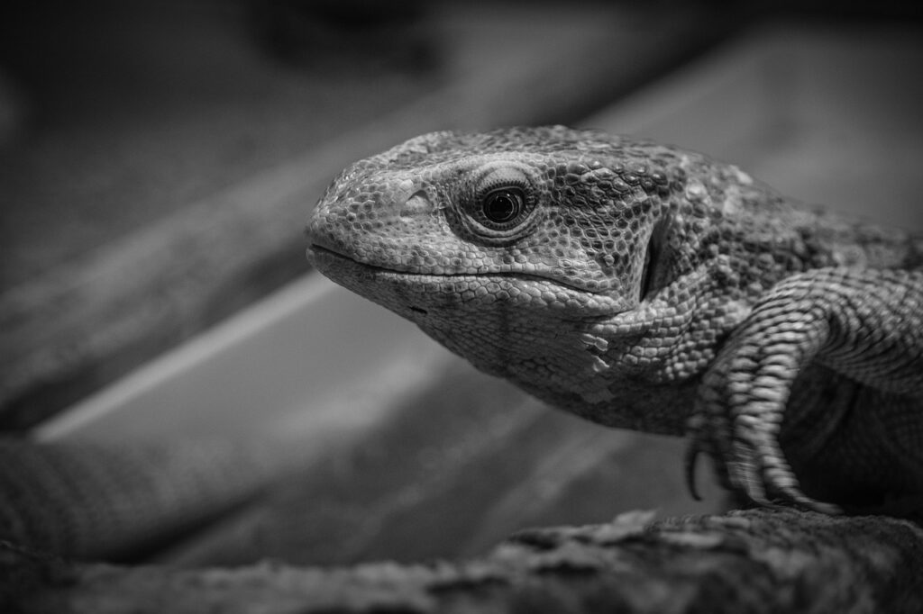 婚活パーティーを併用する方法とは？