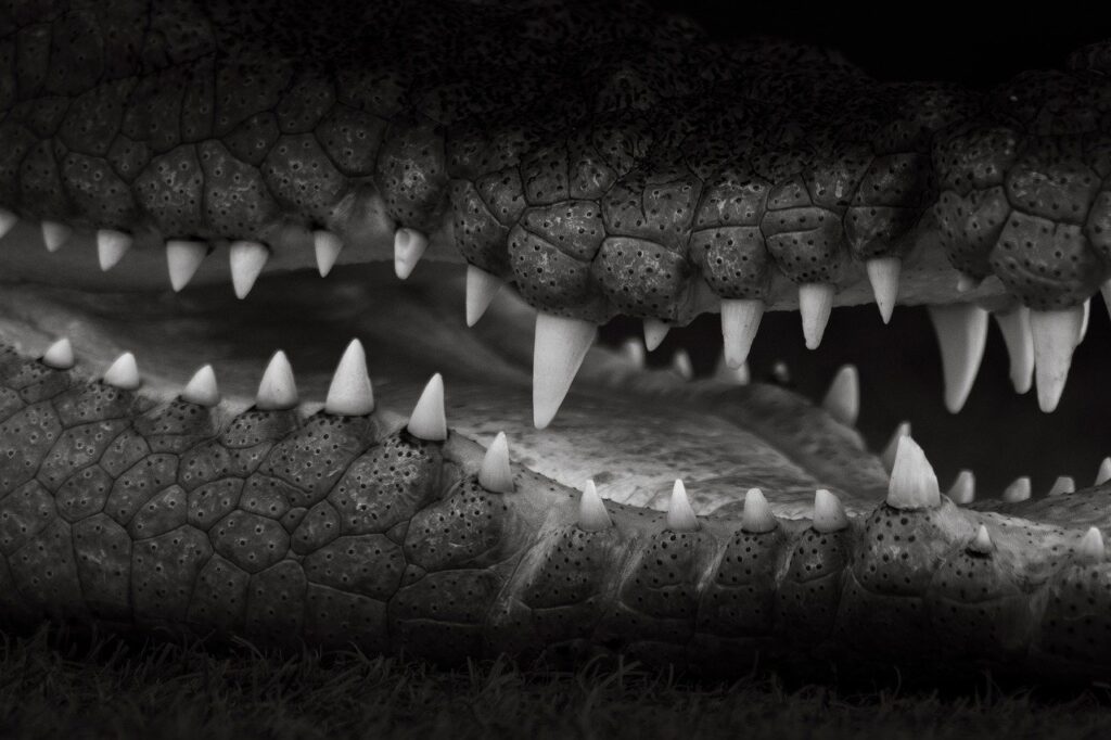 マッチングアプリの危険を回避するためのポイントは？