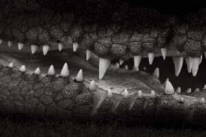 マッチングアプリの危険を回避するためのポイントは？