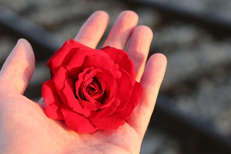 元カノと再会する前に知っておきたい、以上のおすすめポイントは？